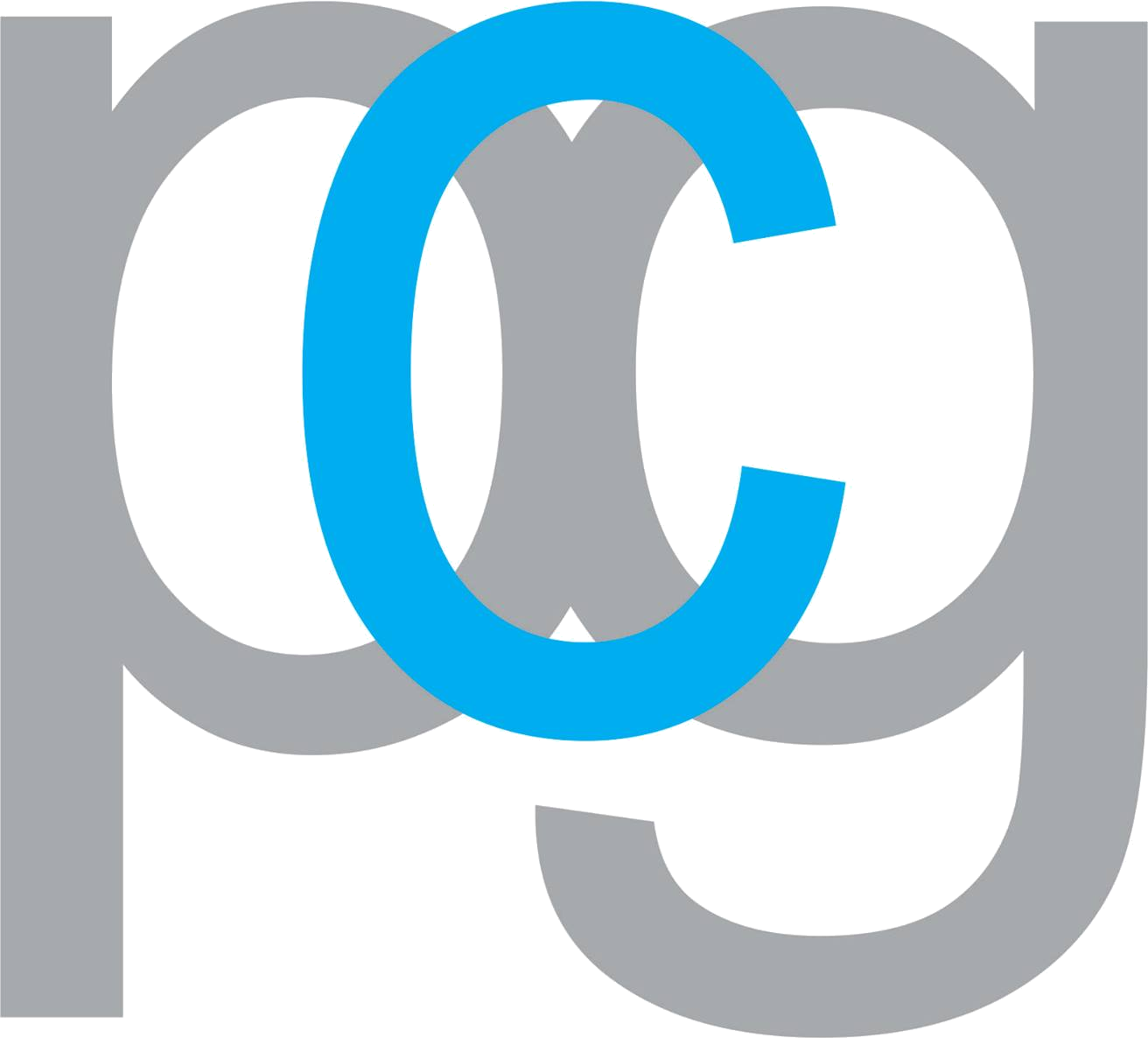 PCG Business Solutions Logo
